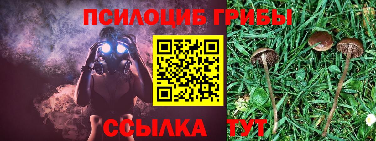Псилоцибиновые грибы мицелий  Вход с VPN  Галлюциногенные грибы Psilocybine cubensis  Углич 